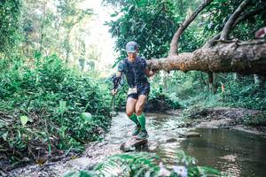 BIB: 
                            <button type="button" onclick="openModal(25433357)" class="btn btn-primary btn-sm float-right btn-popup" data-toggle="modal" data-target=".modal-high-quality">
                        <i class="fas fa-shopping-cart"></i> Add to Cart
                    </button>
                                            <button type="button" onclick="isThisMe(25433357, true)" class="btn btn-success btn-sm float-right btn-popup btn-isme hidden" data-toggle="tooltip" data-placement="bottom" title="นี่คือรูปของคุณใช่ไหม คลิกที่นี่เพื่อเอาเข้าอัลบั้ม">
                        <i class="fas fa-plus"></i> Add to album
                    </button>
                    <button type="button" onclick="isThisMe(25433357, false)" class="btn btn-warning btn-sm float-right btn-popup btn-isnotme hidden">
                        <i class="fas fa-ban"></i> Remove from album
                    </button>